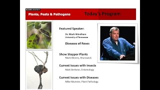 2013 6 25 Plants Pests and PathogensDiseases of Roses [upl. by Cavallaro]