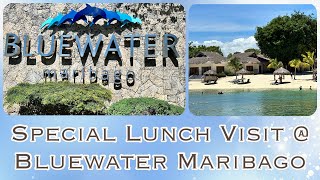 Sustainability matters All local produce seafood lunch  The Cove BlueWater Maribago Beach Resort [upl. by Eednac]