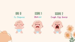 APGAR Scale Quick Guide Assess Newborn Health apgar newbornhealth healthcare neonatal babycare [upl. by Duong409]