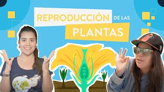 La reproducción de las plantas [upl. by Eiramrefinnej]