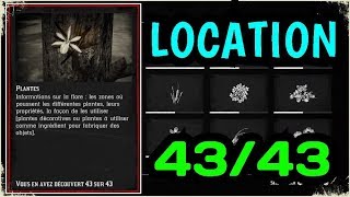 Red Dead Redemption 2  ENCYCLOPÉDIE PLANTES 4343 EMPLACEMENT Guide et soluce [upl. by Marka]