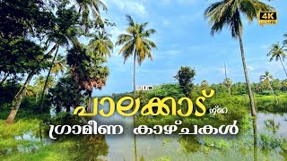 പാലക്കാടൻ ഗ്രാമങ്ങളിലൂടെ  Village Tour  Palakkad Vlog [upl. by Nimaj168]