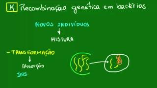 Transformação e transdução  Diversidade dos Seres Vivos  Biologia [upl. by Nylhsa]