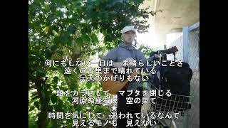 【original】386 ♪「長い一日」 ♫ギター弾語り [upl. by Licec]