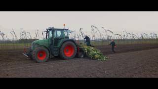 Boomkwekerij Maarten van Overbeek 2016 [upl. by Marley]