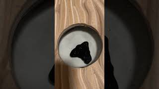 2024 New ferrofluid speaker dancing to Tobias Drey  HMU Mesmerizing Magnetic Liquid Venom [upl. by Riegel]