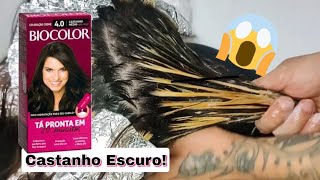 Parte 01  Mechas em cabelo com coloração CASTANHO MÉDIO 40 Biocolor By Heder Freire [upl. by Keener]