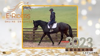 Dressage results day  ERiders test results for November and we say goodbye to 2023 [upl. by Fari]