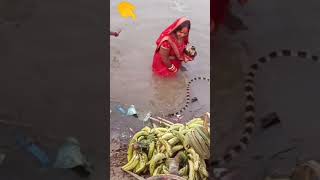 Chhat ghat par sap viralvideos shots shorts trending youtubeshorts funny songs [upl. by Westphal]