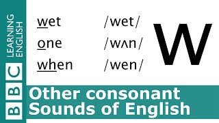 English Pronunciation 👄 Consonant  w  wet one and when [upl. by Asilanom919]