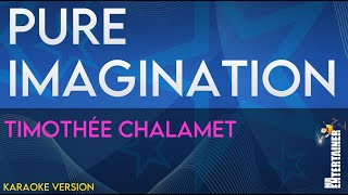 Pure Imagination  Timothée Chalamet KARAOKE [upl. by Nimajeb]