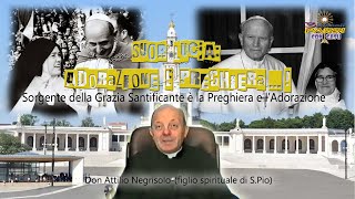 Suor Lucia di Fatima Adorazione e Preghiera…  don Attilio Negrisolo  3 Piccoli Passi con Gesù [upl. by Marga667]