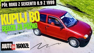 FIAT SEICENTO 09 1999r  PÓŁ ROKU PO ZAKUPIE Czy było warto [upl. by Dnomso929]