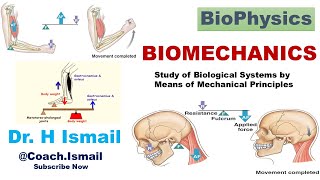 Applications of Biomechanics in the Human Body  Movement Muscles and More [upl. by Biagio79]