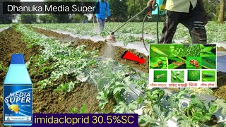 imidacloprid 305 SC insecticide  media super  Confidor super Bayer  Dhanuka  TAAC [upl. by Flip723]