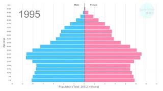 USA population pyramid 19502100 [upl. by Marashio]