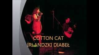 Cotton Cat  Irlandzki diabeł Kuba Michalski [upl. by Alekahs334]