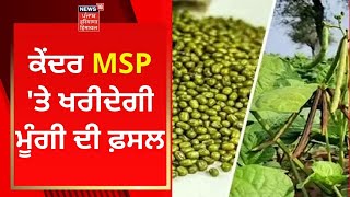 Farmers News  ਕੇਂਦਰ MSP ਤੇ ਖਰੀਦੇਗੀ ਮੂੰਗੀ ਦੀ ਫ਼ਸਲ  Bhagwant Mann  News18 Punjab [upl. by Attenra]