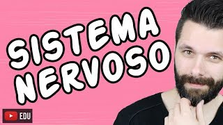 SISTEMA NERVOSO  FISIOLOGIA  Aula  Biologia com Samuel Cunha [upl. by Idarb]