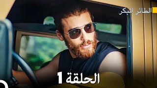 مسلسل الطائر المبكر الحلقة 1 Arabic Dubbed  FULL HD [upl. by Duky893]