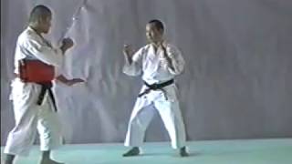 Shorinji Kempo Waza  GYAKU TEN SHIN GERI [upl. by Etessil29]