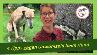 Was tun wenn Deinem Hund oft schlecht wird 4 Tipps [upl. by Jeaz100]