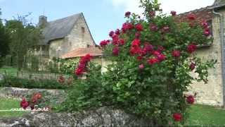 Reportage  Rabelais et les plantes médicinales [upl. by Huckaby]