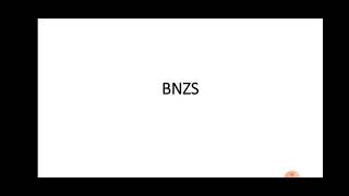 BNZS CODE binary N zero substituition [upl. by Edijabab331]