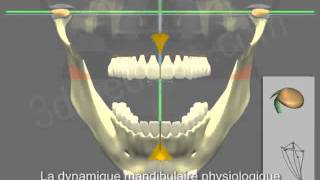 Presentation du CMTH concept mandibulaire tridimensionnel du Dr Harb par animation 3D [upl. by Cleodal]