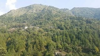 Huge forest of Pine and Deodar Trees  Beautiful Jharna at Chattri [upl. by Lipcombe]