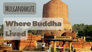 The Temple where Buddha Lived Mulgandhkuti Vihara Sarnath Varanasi [upl. by Zephan398]