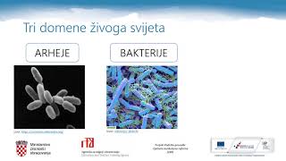 Biologija 7r OŠ  Raznolikost živog svijeta [upl. by Aldin]