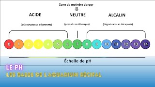 Avoir Un Aquarium Récifal Parfait Avec Un Ph Parfait  Les Bases [upl. by Pooh]