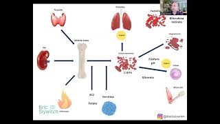 Interpretação do Hemograma com Mapa para baixar [upl. by Zacherie]