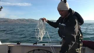 Scenic Crabbing Adventure In Bodega Bay 2024  Picture Perfect Day [upl. by Adyaj476]