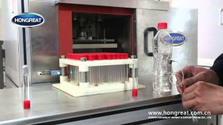 Hongreat Blood Collection Tube Numerical Control Vacuuming and Cap Pressing Machine [upl. by Fennie18]