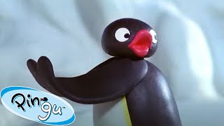 Adventures of Pingu 🐧  Pingu  Official Channel  Cartoons For Kids [upl. by Ekralc]