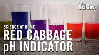 The Sci Guys Science at Home  SE2  EP4 Red Cabbage pH Indicator  Acid Base Indicator [upl. by Cahan]