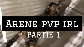 Rinaorc  Arène PvP IRL [upl. by Peace]