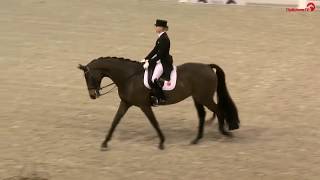 Jessica von BredowWerndl  TSF Dalera BB  LouisdorPreis Finale  Festhallen Reitturnier 2017 [upl. by Ahsenwahs]