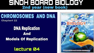 DNA Replication  chromosome and DNA  models of Replication  class 12 Biology Sindh board [upl. by Metts210]