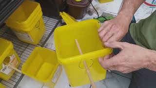 diy plastic bird nest box for breeding budgies how to make a bird breeding box cheap and simple 👀😁👍 [upl. by Sivrat]