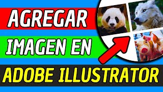 Como Agregar Una Imagen En Adobe Illustrator 2024 Facil y Rapido [upl. by Emina]