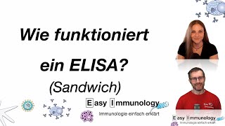 Easy Immunology  Methoden Der Sandwich ELISA [upl. by Adaj]