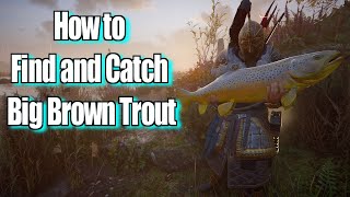 AC Valhalla The Siege of Paris How to Find and Catch Big Brown Trout Guide [upl. by Zandt188]