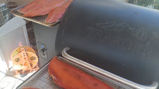 Putting the salmon in the Traeger Creative Adventures with Rose is live [upl. by Hahsia]