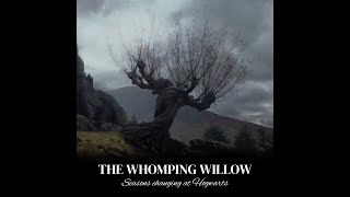 Watch as the Seasons change at Hogwarts by The Whomping Willow [upl. by Nangem964]