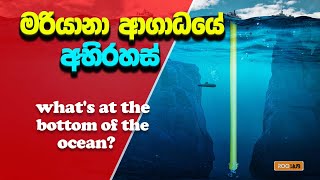 මරියානා ආගාධයේ අභිරහස්  Mysteries of the Mariana Trench  Deepest Place on Earth [upl. by Moyra509]