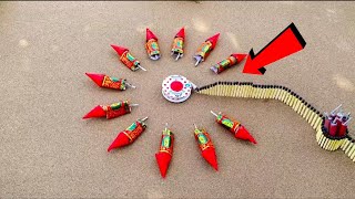 Matchstich Chain Dainmo Vs Rocket Cracker 😱 experiment crackers diwali pmcallrounder [upl. by Acinnej]