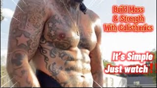 How to Body build with Calisthenics for all Levels Beginners get started today it’s time to Grow‼️🫡 [upl. by Trudey]